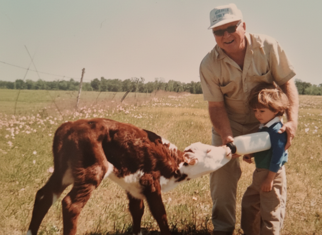 An older rancher and a young boy bottle-feeding a calf in a Texas field